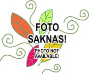 0707-632 CHASSIS,FRT END-PTD-S/P ASSY