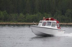 Classic 560 MC